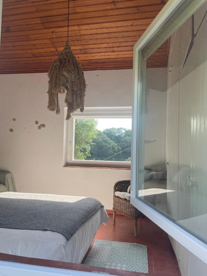فيلا A House In The Woods سينترا المظهر الخارجي الصورة