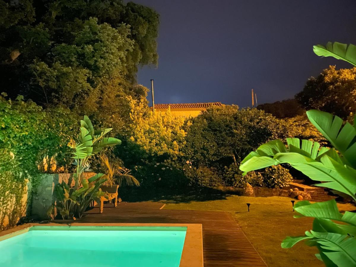 فيلا A House In The Woods سينترا المظهر الخارجي الصورة