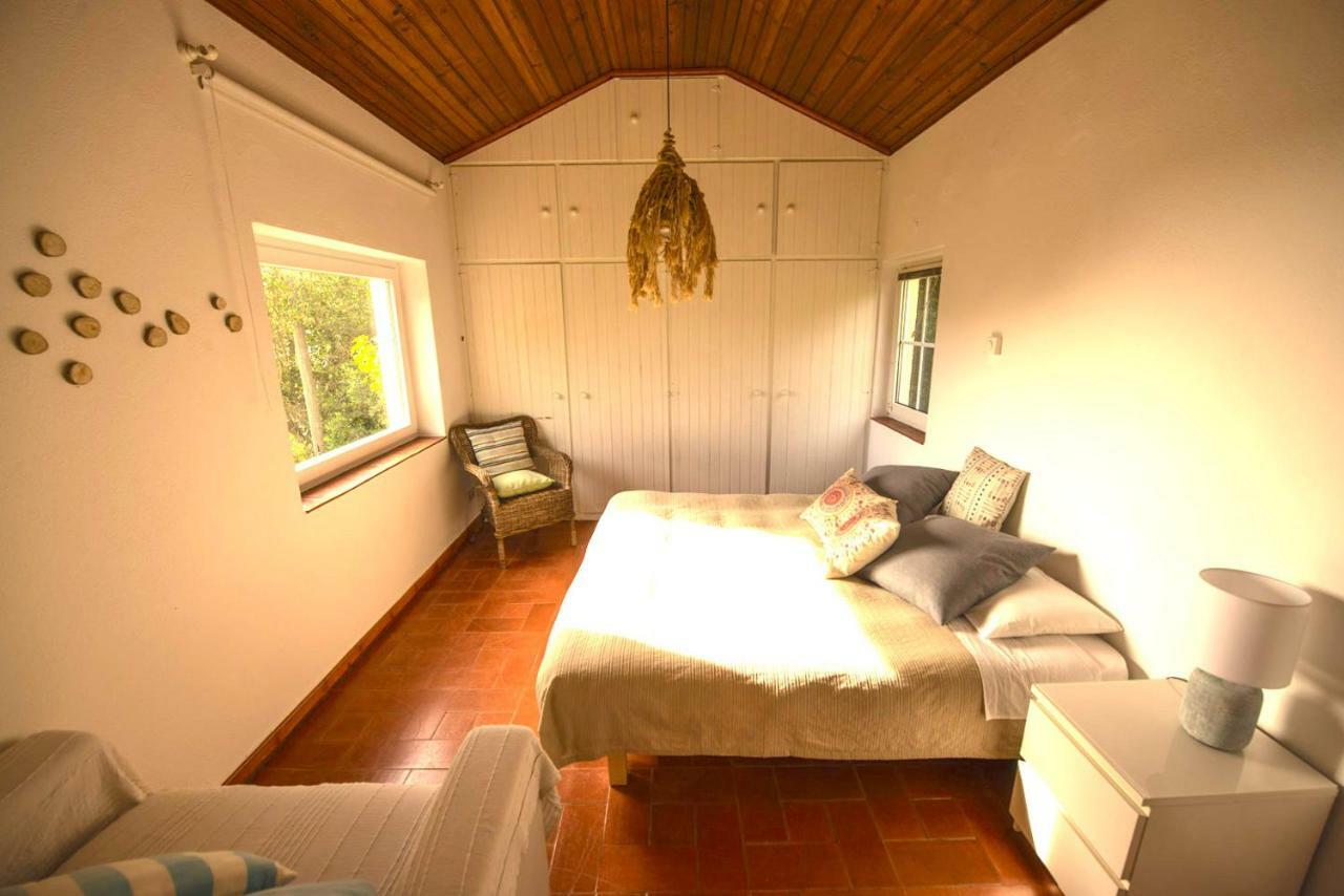 فيلا A House In The Woods سينترا المظهر الخارجي الصورة